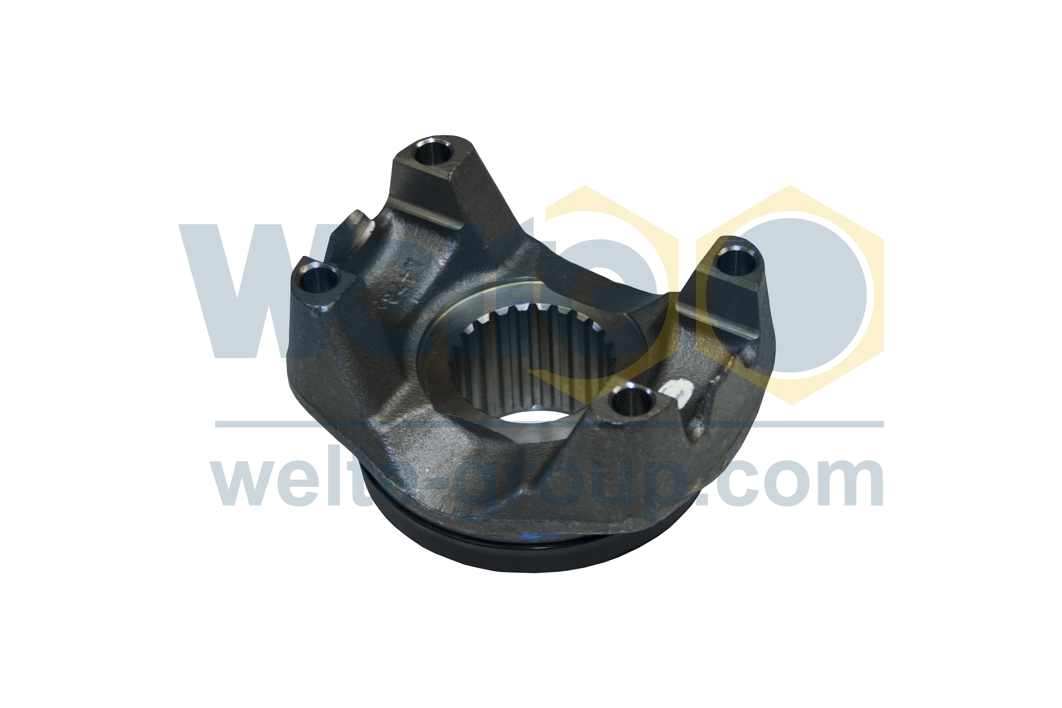 EY - End Yoke
H113  60x2,5  Z24